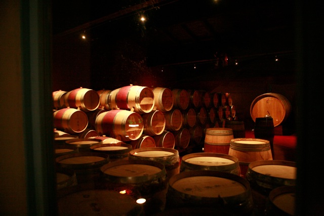 wedding planning in italy vineyard